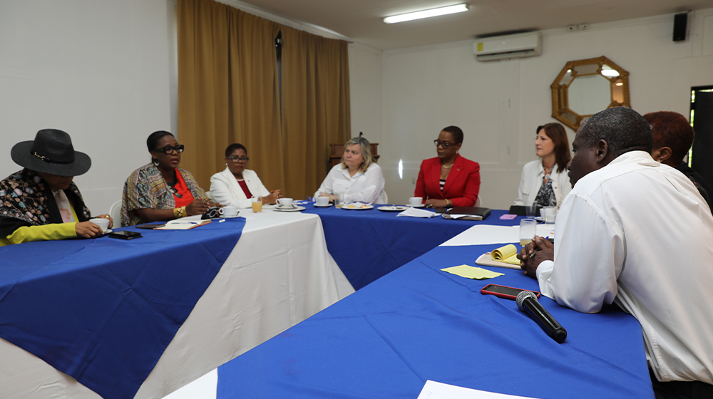 Les Directrices régionales de l'UNFPA et d'ONU Femmes rencontrent des Ministres du Gouvernement